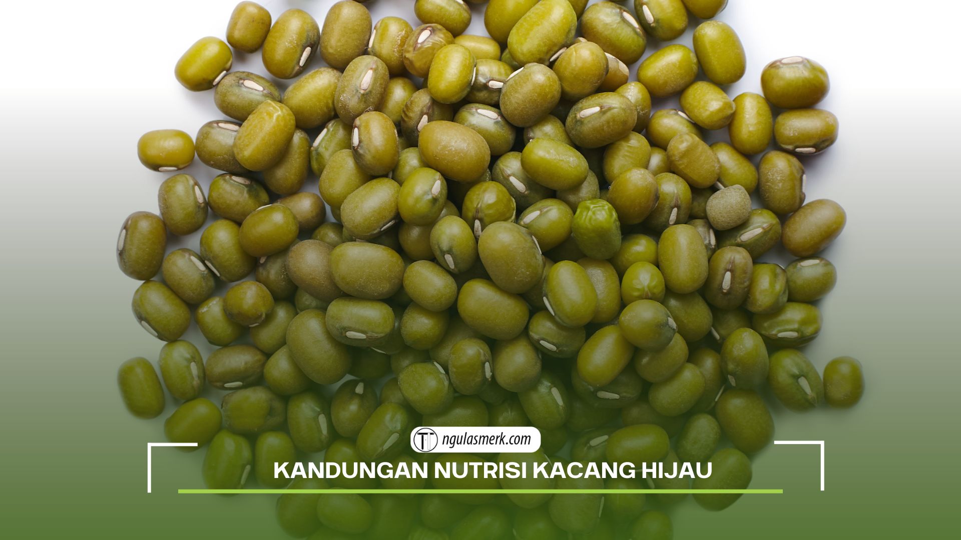 Manfaat Kacang Hijau Untuk Ibu Hamil Yang Harus Anda Ketahui Sekarang ...