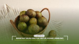 Manfaat Buah Matoa untuk Asam Lambung