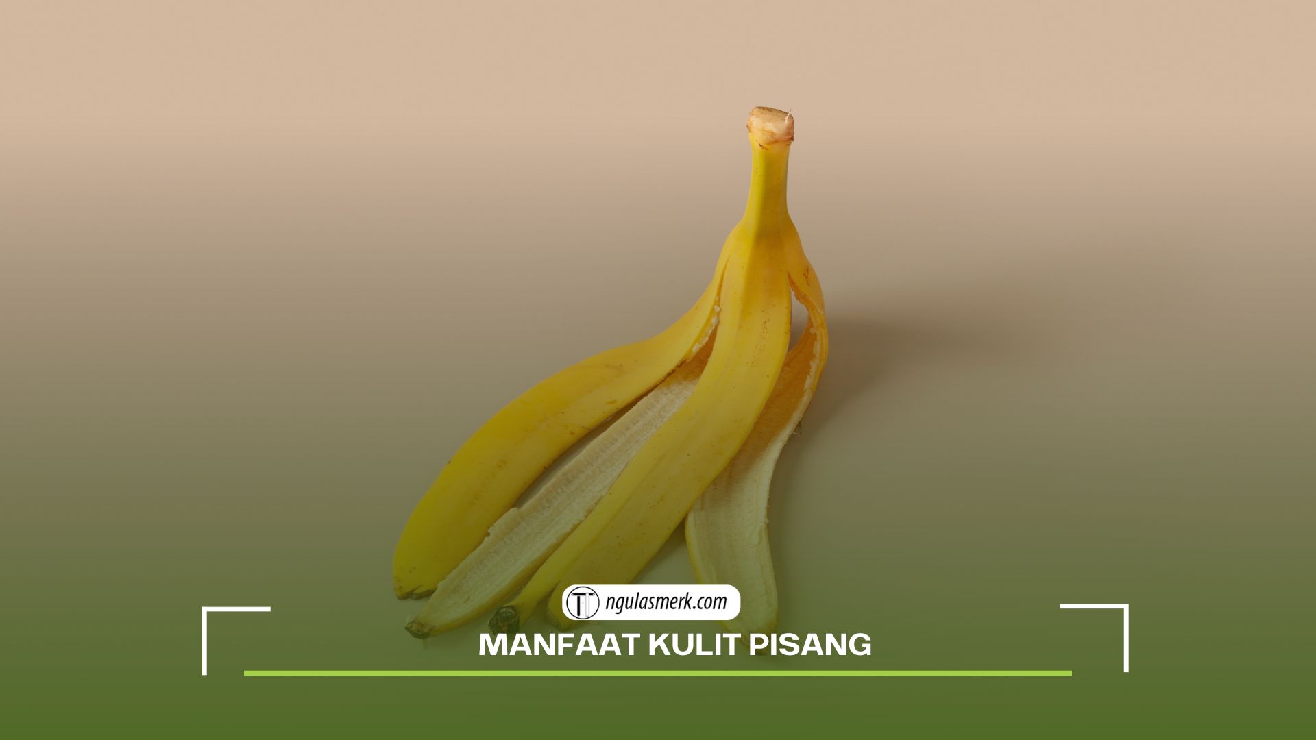 Jangan Buang Kulit Pisang Ini Lho Manfaatnya Untuk Kesehatan Dan Kecantikan Anda Ngulasmerk Com