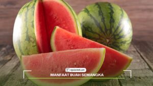 Manfaat Buah Semangka