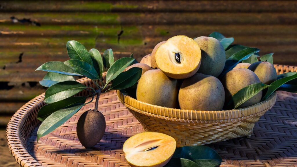 manfaat buah sawo untuk kesehatan