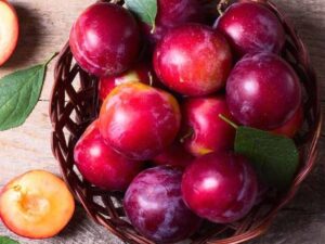 Manfaat buah plum untuk kecantikan wanita